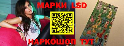 индика Славгород