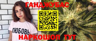 индика Славгород