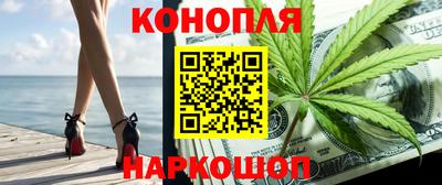 индика Славгород