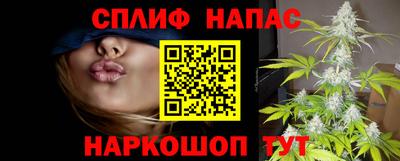 индика Славгород