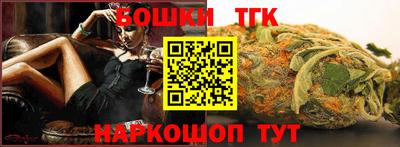 индика Славгород