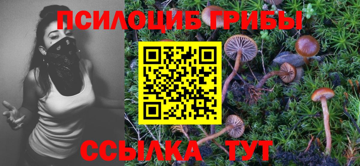 Псилоцибиновые грибы прущие грибы Карасук